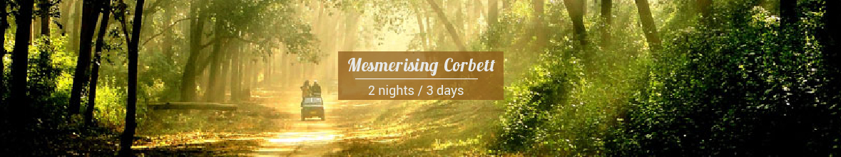 Mesmerising Corbett