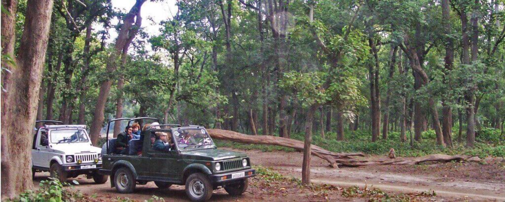 Jeep Safari Tours in India
