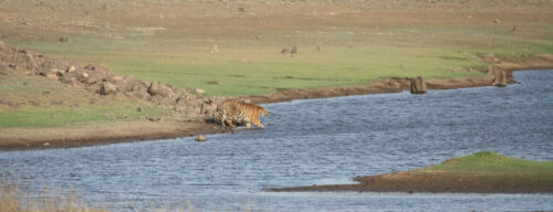 Attractions in Tadoba National Park